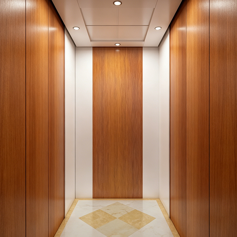 Placa de acero con barniz para estufa de diseño simple Elevador de villa doméstica