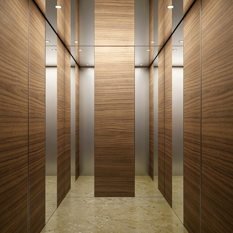 Ascensor de pasajeros para interior de villa con cabina de chapa de madera moderna